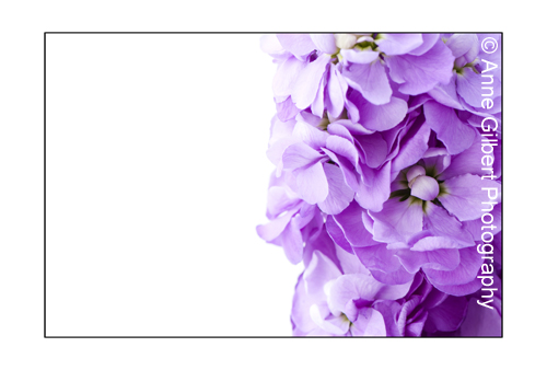 Article text