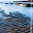 Ripples in the Sand