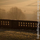 Long Shadows