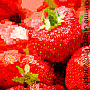 Strawberry Mosaic