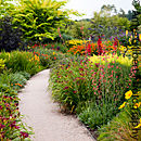 Wander Through The Hot Garden