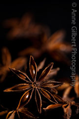 Exhibition of Fine Art Prints