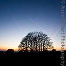 Severn Sunset
