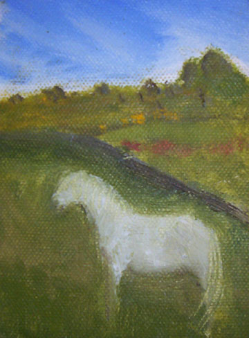 dartmoor pony