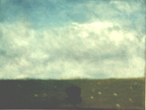 panorama oil on canvas !x12 panels 6x8 ins 
