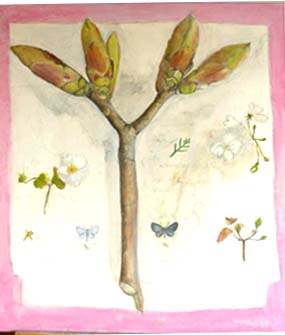 tree bud and other spring phenomena 2008