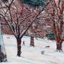 Snow in the park