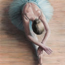 Classic Dying Swan