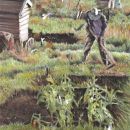 Working on the Allotment