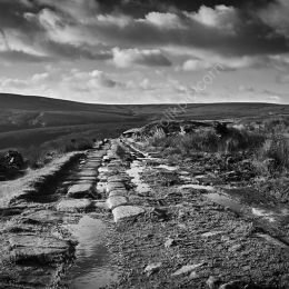 Springs Road