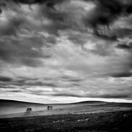 Stormy Skies