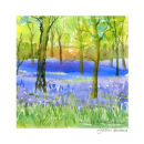 Merlin Woods Chandlers Cross