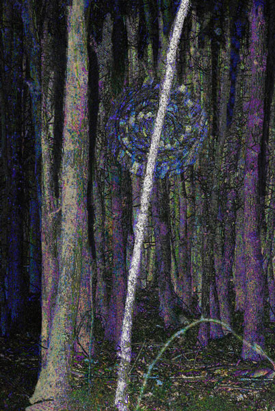 IG - Forest Spell