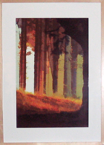 Ian Gorton - Sunset Fired 2nd Place