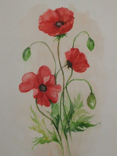 Jill Greenhalgh - Poppies
