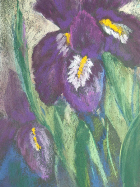 Jill Greenhalgh - Irises and Lindas