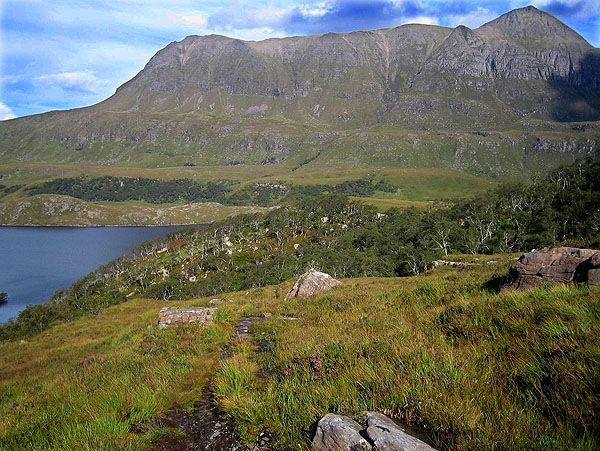 Drumrunie woodland and Cul Mor