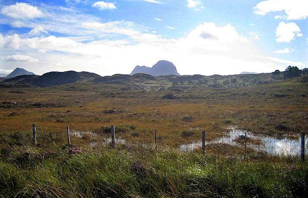 Glencanisp woodlands and Suilven