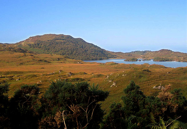 Glencanisp woodlands, Loch Druim Suardalain