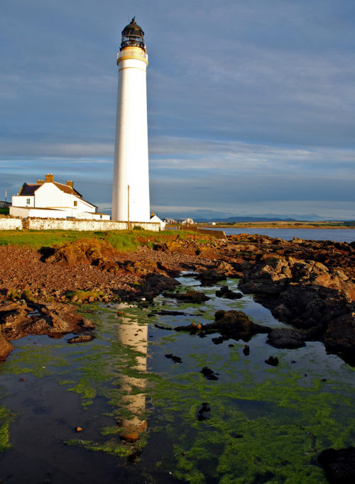 Reflected Light