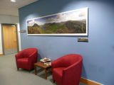 Canvas Flower Pictures in St. James Hospital