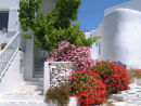 A Greek garden