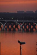 DC Sunset