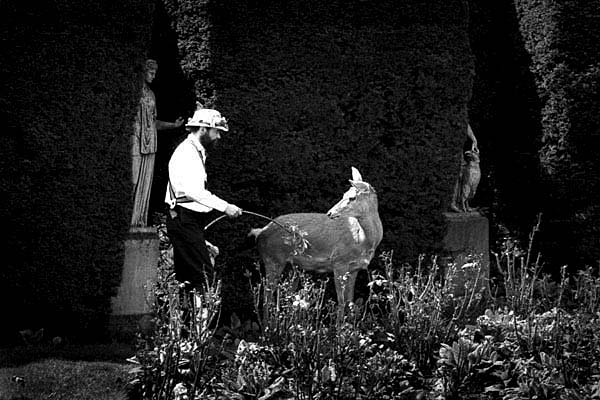 Morris and Deer