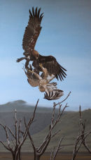 Fighting Tawny Eagles Painting
