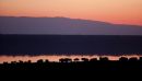 Ndutu Dawn