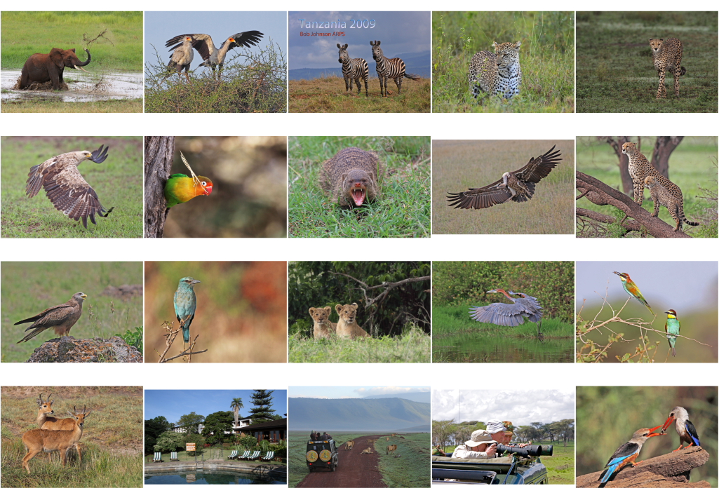 Images of Tanzania