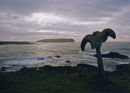 orkney whale scuplture