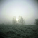 Dedham Vale 2