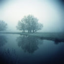 Dedham Vale 3
