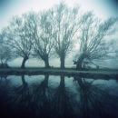 Dedham Vale 4