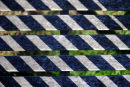 Diastripe