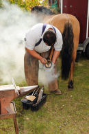 Farrier1