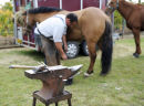 Farrier 2