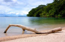Playa Tumbabote