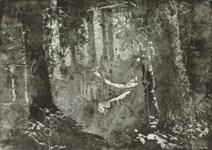 <U>Managed Woodland<U> SOLD
