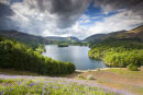 card 241 - Grasmere