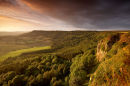 card 259. Roulston Scar