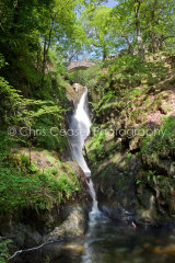 Aira Force