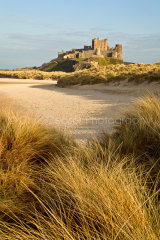 Through the dunes