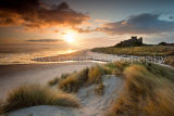 Dunes of Gold, Bamburgh