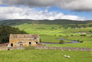 CARD 262 - Wensleydale