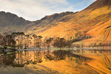 Dawn reflections, Buttermere