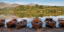 Card L9 - "Rowing Boats, Derwentwater", lake district
