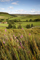 card 107 - Fryup Dale