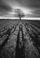 card 130 - Malhamdale